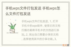 手机wps文件打包发送 手机wps怎么文件打包发送