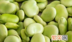 新鲜蚕豆怎么保存 新鲜蚕豆怎么保存放冰箱