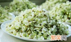 新鲜槐花怎么保存 新鲜槐花怎么保存在冰箱