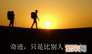 关于拼搏的段落摘抄 关于拼搏的段落摘抄大全