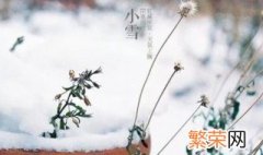 2020年小雪节气是哪一天 小雪节气简介