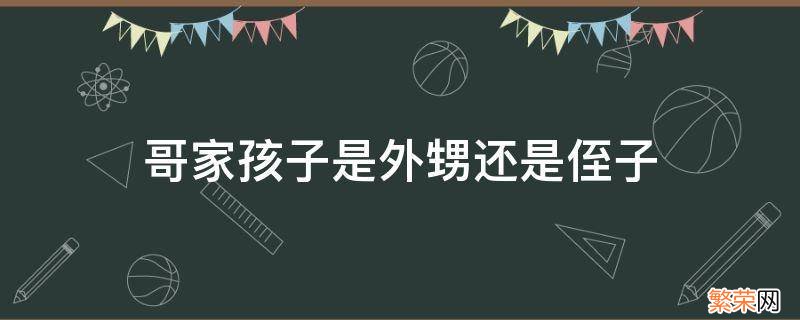 哥家的孩子是不是小侄女 哥家孩子是外甥还是侄子