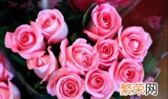 27朵玫瑰花代表什么意思 27朵玫瑰花花语介绍