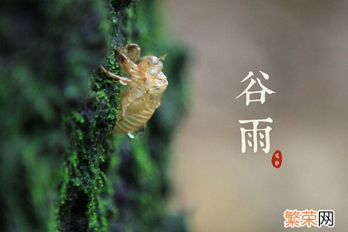 谷雨节气养生常识