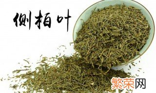 煮侧柏叶的方法 侧柏叶煮水洗头的具体方法是什么