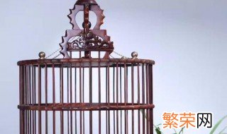 如何对红木鸟笼进行保养 红木鸟笼怎样保养