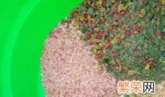 低温开饵方法 开饵的妙招介绍