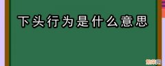 下头的行为 下头行为是什么意思