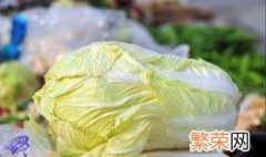 大白菜的营养价值及功效作用 大白菜的营养价值