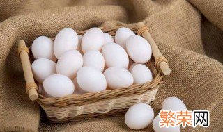 鸽子蛋的营养价值及功效和禁忌 鸽子蛋的营养价值
