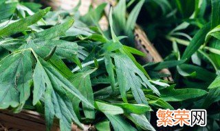 艾叶洗头用不用洗发膏 艾叶洗头可不可以用洗发膏