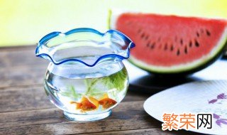 鱼缸里可以加抗菌优吗 鱼缸里能不能用抗菌优