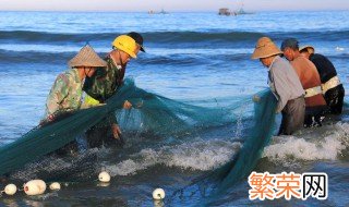 淡水鲳不吃食怎么解决 淡水鲳鱼什么人不能吃