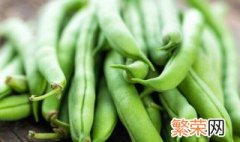 四季豆里有虫怎么办 四季豆里有虫的解决方法