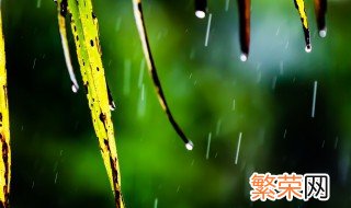 描写春雨的句子 描写春雨的句子200字