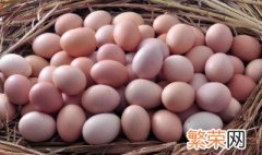 土鸡蛋的营养价值及功效与作用 土鸡蛋的营养价值