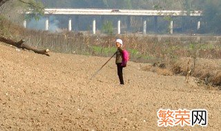 开垦荒地的好方法 做好这4点荒地变良田