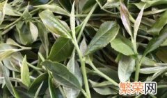 寿眉茶怎么存放最好 寿眉茶怎么存放