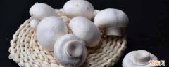 口蘑是啥蘑菇 口蘑是什么蘑菇