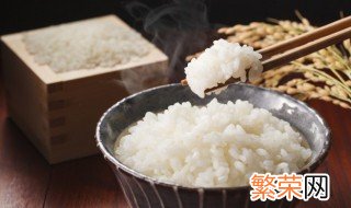 夏季大米容易生虫怎么办 大米在夏天生虫子怎么办