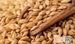小麦怎样储存才能发芽 如何让小麦发芽