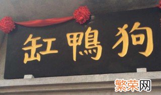 缸鸭狗名字由来 缸鸭狗名字由来是什么