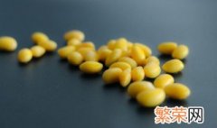 煮熟的黄豆做肥料,大约多长时间才有效? 煮熟黄豆做肥料注意的事项