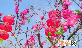 如何提升正桃花运 怎么提升正缘桃花