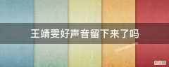 王靖雯还在好声音吗 王靖雯好声音留下来了吗