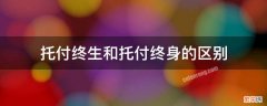 什么样的人是可以托付终身的 托付终生和托付终身的区别