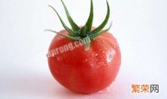 西红柿怎么保存好吃 西红柿怎么存放比较好
