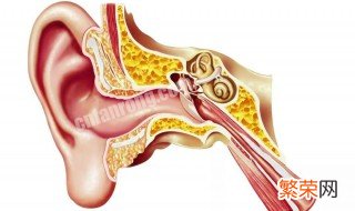 耳朵里面硬硬的耳屎掏不出来怎么办 耳屎掏不出来怎么办