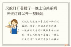 灭蚊灯开着睡了一晚上没关系吗 灭蚊灯可以开一整晚吗