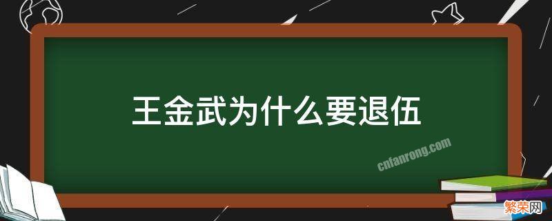 王金兵是哪里人 王金武为什么要退伍