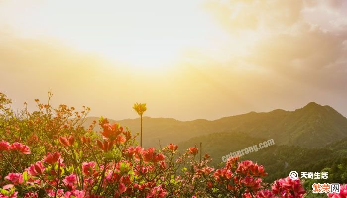 励志加伤感的句子 盘点励志加伤感的句子