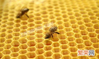蜂胶的功效与作用及食用方法的作用与功效 蜂胶的功效与作用及食用方法
