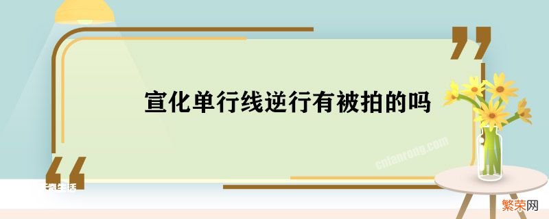 宣化单行线逆行有被拍的吗 宣化单行线逆行会被拍吗