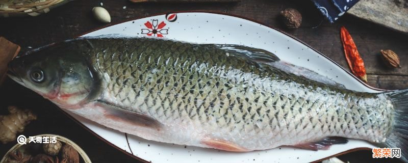 有胡须的鱼有哪几种 有胡须的鱼有哪几种呢