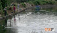 雨后浑水可以钓鱼吗 雨后水浑能钓鱼吗