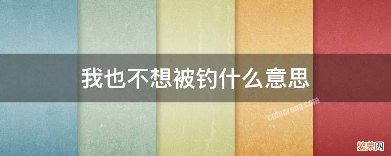 我也不想被钓什么意思 不想被钓鱼啥意思