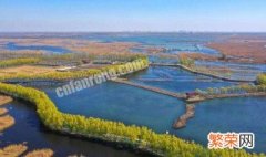 中国的最湿地是在什么地 我国的湿地有哪些
