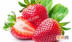草莓的含糖量高吗 草莓的含糖量高不高
