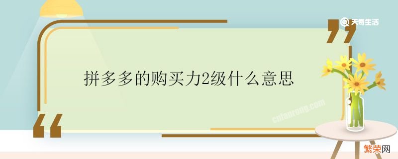 拼多多的购买力2级什么意思 什么是拼多多的购买力2级