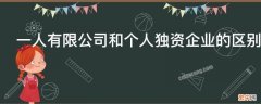 一人有限公司与个人独资企业有什么区别 一人有限公司和个人独资企业的区别