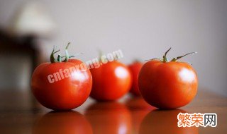 最新番茄管理方法 西红柿管理方法