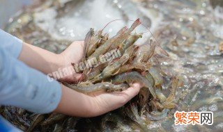 剥生虾皮方法 怎么给生虾去壳