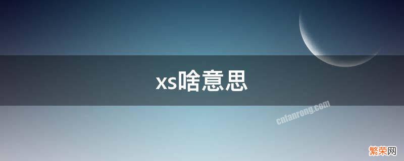 xs啥意思 车牌xs啥意思