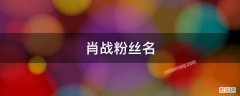 肖战的粉丝名叫啥 肖战粉丝名是什么