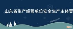 山东省生产经营单位安全生产主体责任规定