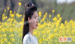 林婉儿身世 林婉儿身份为什么不能公布